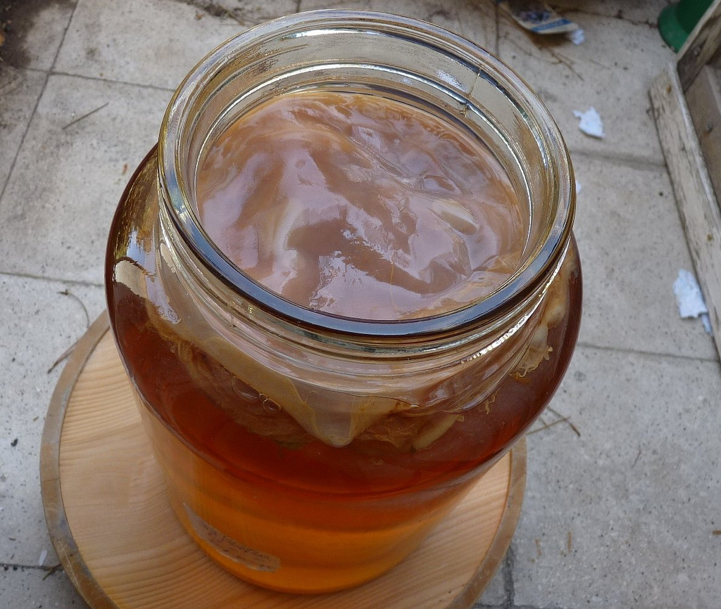 Comment faire de la mère de vinaigre ? Vinaigrier.info